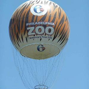Zoo Hot Air Balloon