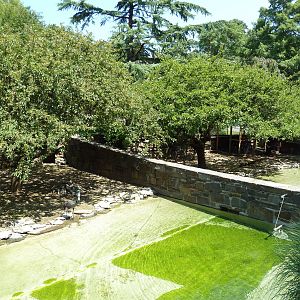 Bird Valley - Waterfowl Exhibits