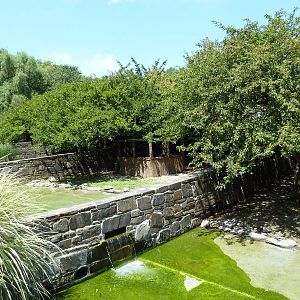 Bird Valley - Waterfowl Exhibits