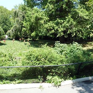 Bird Valley - Caribbean Flamingo Exhibit