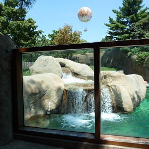 Bear Country - Polar Bear Exhibit + Hot Air Balloon