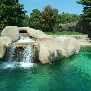 Bear Country - Polar Bear Exhibit