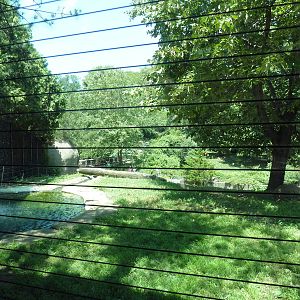 Bear Country - Asiatic Black Bear Exhibit