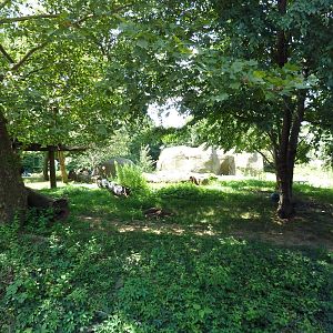 Bear Country - Andean Bear Exhibit