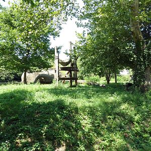 Bear Country - Andean Bear Exhibit