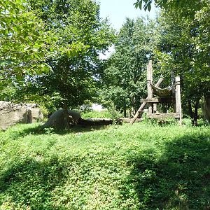 Bear Country - Andean Bear Exhibit