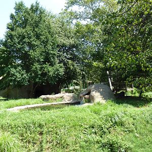 Bear Country - Andean Bear Exhibit