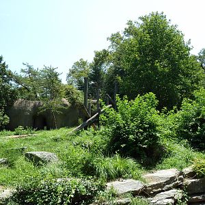 Bear Country - Sloth Bear Exhibit