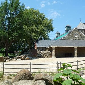 Poitou Donkey Exhibit (Old Elephant Enclosure)