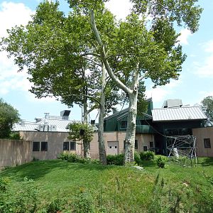 Primate Reserve - White-Handed Gibbon/Sumatran Orangutan Exhibit