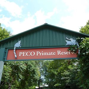 Primate Reserve - Entrance Sign
