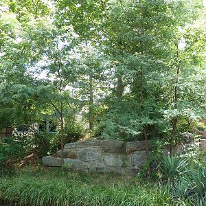 Primate Reserve - Ring-Tailed Lemur Exhibit