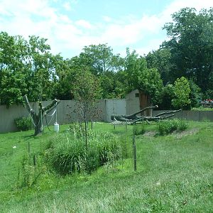 Primate Reserve - Gorilla Exhibit