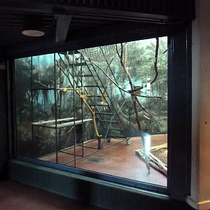 Primate Reserve - Squirrel Monkey Exhibit