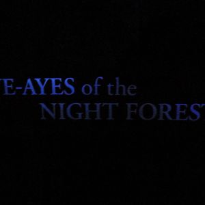 Primate Reserve - Aye-Aye Sign