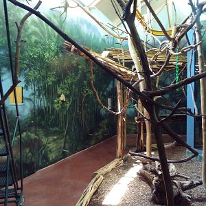 Primate Reserve - Spectacled Langur Exhibit