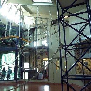 Primate Reserve - White-Handed Gibbon/Sumatran Orangutan Indoor Exhibit
