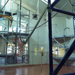 Primate Reserve - White-Handed Gibbon/Sumatran Orangutan Indoor Exhibit