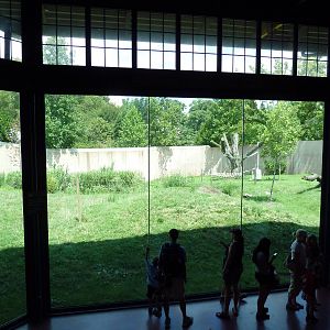 Primate Reserve - Gorilla Exhibit