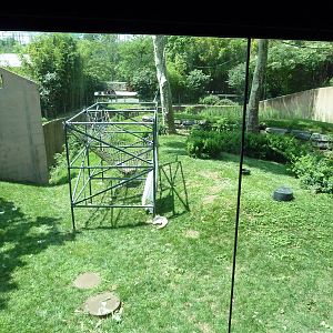 Primate Reserve - White-Handed Gibbon/Sumatran Orangutan Exhibit