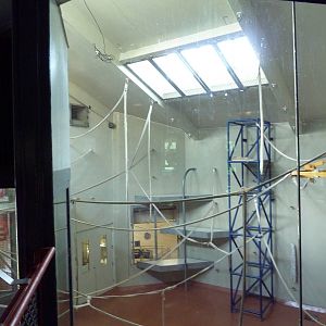 Primate Reserve - Colobus Monkey Exhibit