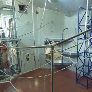 Primate Reserve - Colobus Monkey Exhibit