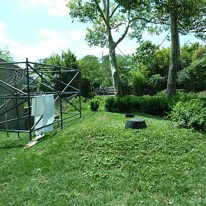 Primate Reserve - White-Handed Gibbon/Sumatran Orangutan Exhibit
