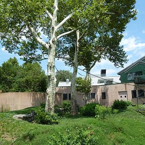 Primate Reserve - White-Handed Gibbon/Sumatran Orangutan Exhibit