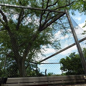 Big Cat Falls - Jaguar Exhibit
