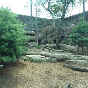 Big Cat Falls - Puma Exhibit