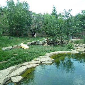 Big Cat Falls - Tiger Exhibit