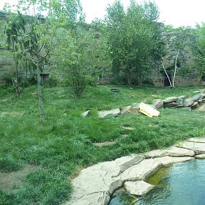 Big Cat Falls - Tiger Exhibit