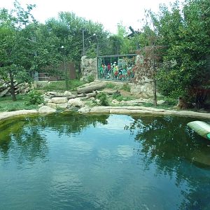 Big Cat Falls - Tiger Exhibit
