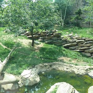 Big Cat Falls - Tiger Exhibit