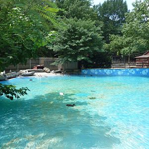Children's Zoo - Waterfowl Pond