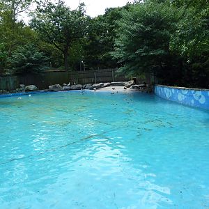 Children's Zoo - Waterfowl Pond