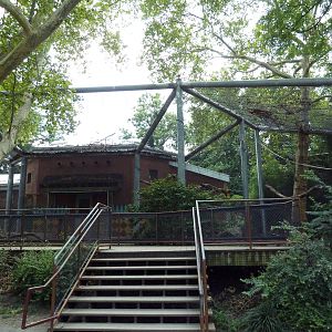 Colobus Monkey Exhibit