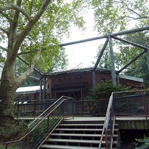 Colobus Monkey Exhibit