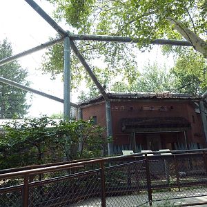 Colobus Monkey Exhibit