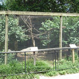 Waldrapp/Sacred Ibis Exhibit