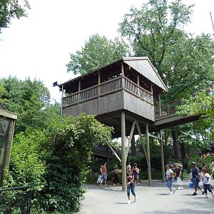 Colobus Monkey Exhibit - Overlook