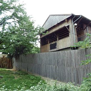 African Wild Dog Exhibit - Overlook