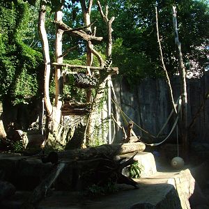 Bear Exhibit at Frankfurt 31/08/10