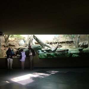 Otter Indoor Exhibit at Frankfurt 31/08/10