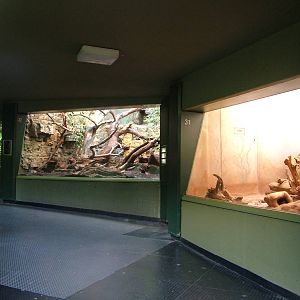 Grzimek House Interior at Frankfurt 31/08/10