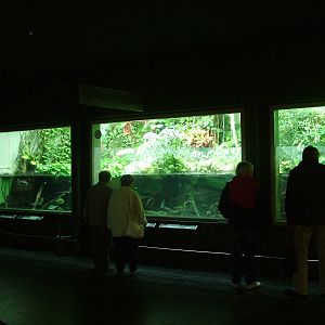 Aqua-Terrarium at Frankfurt 31/08/10