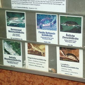 Signage Example at Frankfurt 31/08/10