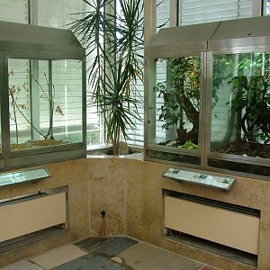 Invertebrate Exhibits at Frankfurt 31/08/10