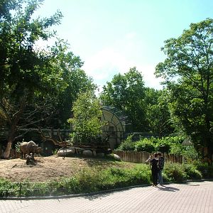 Rhino Paddock and Bird of Prey Aviaries at Frankfurt 31/08/10