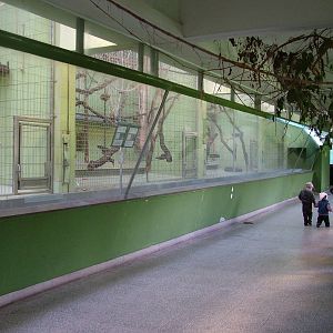 Monkey House Interior at Frankfurt 31/08/10